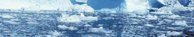 Antarktis, der Lebensraum des Krill